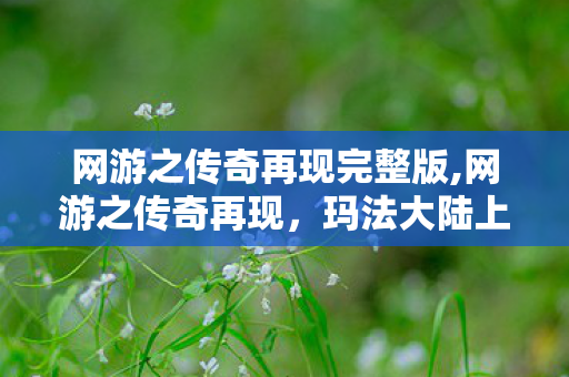 网游之传奇再现完整版,网游之传奇再现,玛法大陆上的旧热血与新相逢 网游之传奇再现完整版,网游之传奇再现,玛法大陆上的旧热血与新相逢