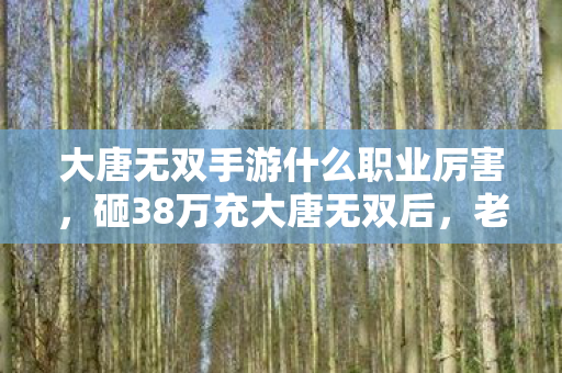 大唐无双手游什么职业厉害，砸38万充大唐无双后，老婆甩来离婚协议！这隐情让我吓一跳