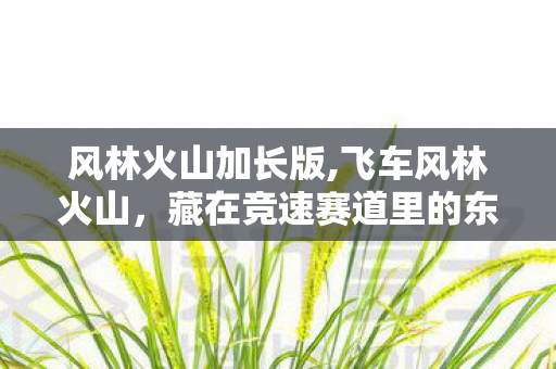 风林火山加长版,飞车风林火山，藏在竞速赛道里的东方速度美学