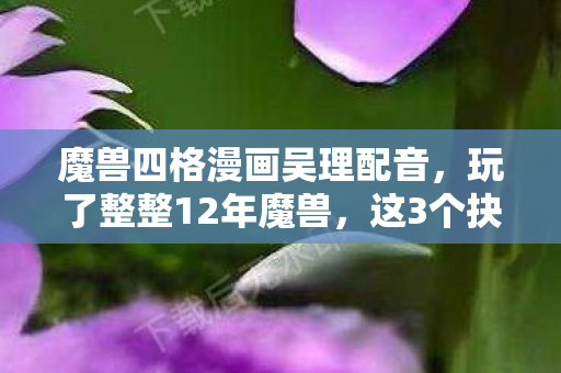 魔兽四格漫画吴理配音,玩了整整12年魔兽,这3个抉择让我纠结到失眠! 魔兽四格漫画吴理配音,玩了整整12年魔兽,这3个抉择让我纠结到失眠!