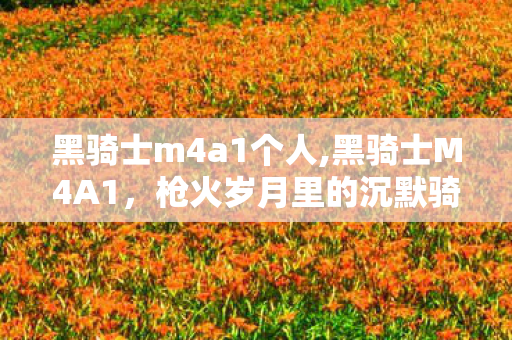 黑骑士m4a1个人,黑骑士M4A1，枪火岁月里的沉默骑士