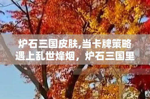 炉石三国皮肤,当卡牌策略遇上乱世烽烟,炉石三国里的趣味江湖 炉石三国皮肤,当卡牌策略遇上乱世烽烟,炉石三国里的趣味江湖