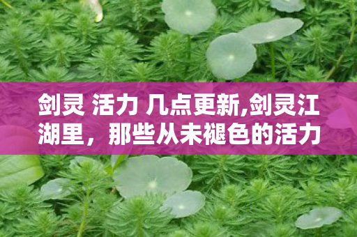剑灵 活力 几点更新,剑灵江湖里,那些从未褪色的活力印记 剑灵 活力 几点更新,剑灵江湖里,那些从未褪色的活力印记
