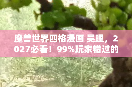 魔兽世界四格漫画 吴理，2027必看！99%玩家错过的魔兽四格漫画神细节，看完直呼血亏！