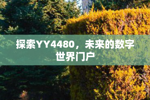 未来的数字世界门户图片
