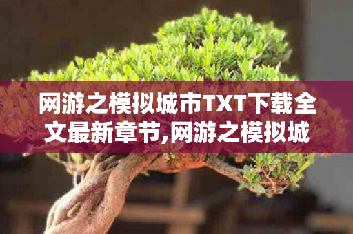 网游之模拟城市TXT下载全文最新章节,网游之模拟城市,藏在虚拟世界里的城建浪漫情怀 网游之模拟城市TXT下载全文最新章节,网游之模拟城市,藏在虚拟世界里的城建浪漫情怀