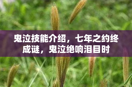 鬼泣技能介绍,七年之约终成谜,鬼泣绝响泪目时 鬼泣技能介绍,七年之约终成谜,鬼泣绝响泪目时