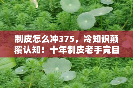 制皮怎么冲375,冷知识颠覆认知!十年制皮老手竟目瞪口呆,我根本没入门? 制皮怎么冲375,冷知识颠覆认知!十年制皮老手竟目瞪口呆,我根本没入门?