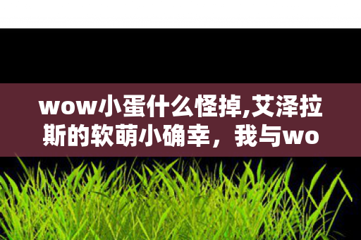 wow小蛋什么怪掉,艾泽拉斯的软萌小确幸,我与wow小蛋的冒险日常 wow小蛋什么怪掉,艾泽拉斯的软萌小确幸,我与wow小蛋的冒险日常