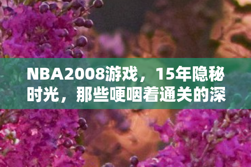 NBA2008游戏,15年隐秘时光,那些哽咽着通关的深夜,你还记得吗? NBA2008游戏,15年隐秘时光,那些哽咽着通关的深夜,你还记得吗?