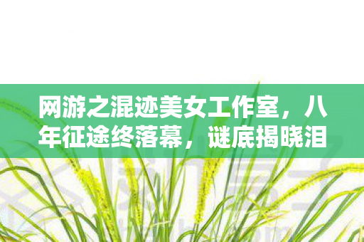 网游之混迹美女工作室,八年征途终落幕,谜底揭晓泪难流,网游梦碎成空 网游之混迹美女工作室,八年征途终落幕,谜底揭晓泪难流,网游梦碎成空