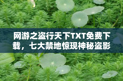 网游之盗行天下TXT免费下载,七大禁地惊现神秘盗影,百万玩家追查竟牵出惊天秘辛! 网游之盗行天下TXT免费下载,七大禁地惊现神秘盗影,百万玩家追查竟牵出惊天秘辛!