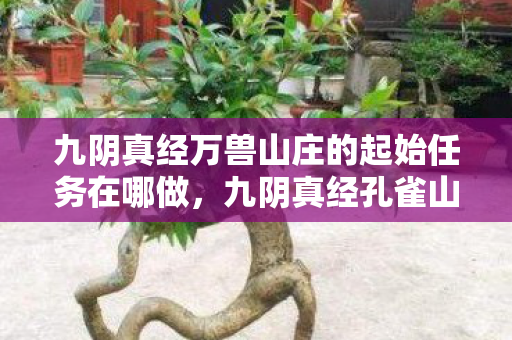 九阴真经万兽山庄的起始任务在哪做，九阴真经孔雀山庄，从武侠巨制到页游画风的落差真相，笑着笑着就哭了