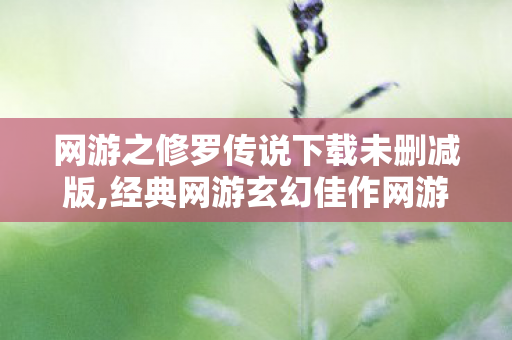 网游之修罗传说下载未删减版,经典网游玄幻佳作网游之修罗传说的内容魅力与阅读体验分享 网游之修罗传说下载未删减版,经典网游玄幻佳作网游之修罗传说的内容魅力与阅读体验分享