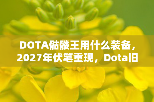 DOTA骷髅王用什么装备,2027年伏笔重现,Dota旧情如刀,鼻子一酸忆往昔 DOTA骷髅王用什么装备,2027年伏笔重现,Dota旧情如刀,鼻子一酸忆往昔