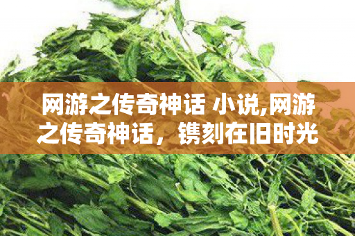 网游之传奇神话 小说,网游之传奇神话,镌刻在旧时光里的热血印记 网游之传奇神话 小说,网游之传奇神话,镌刻在旧时光里的热血印记