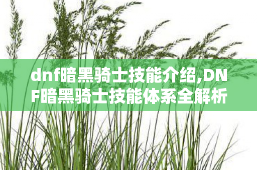 dnf暗黑骑士技能介绍,DNF暗黑骑士技能体系全解析,打造专属高伤连招的核心思路 dnf暗黑骑士技能介绍,DNF暗黑骑士技能体系全解析,打造专属高伤连招的核心思路