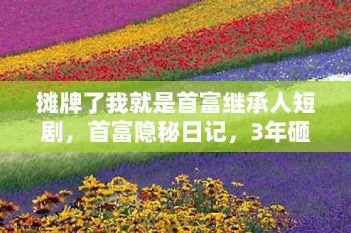 摊牌了我就是首富继承人短剧,首富隐秘日记,3年砸2亿玩遍全平台,背后心酸谁人知? 摊牌了我就是首富继承人短剧,首富隐秘日记,3年砸2亿玩遍全平台,背后心酸谁人知?