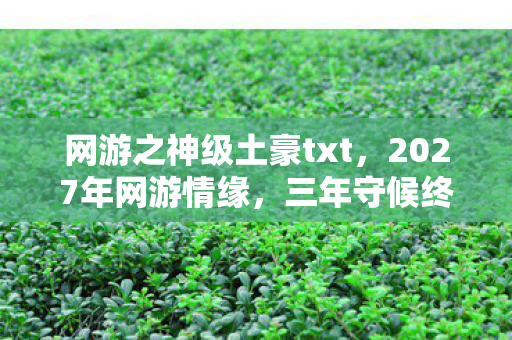 网游之神级土豪txt,2027年网游情缘,三年守候终见曙光,伏笔揭开时我鼻子一酸 网游之神级土豪txt,2027年网游情缘,三年守候终见曙光,伏笔揭开时我鼻子一酸