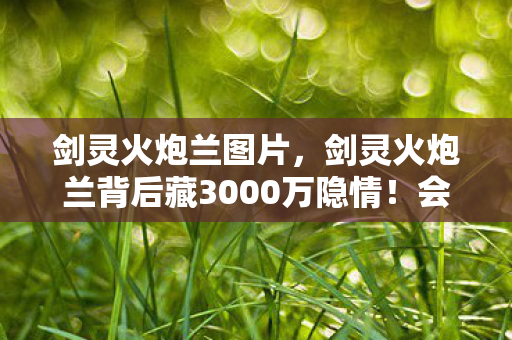 剑灵火炮兰图片，剑灵火炮兰背后藏3000万隐情！会议室吵翻天，结果让人吓一跳！