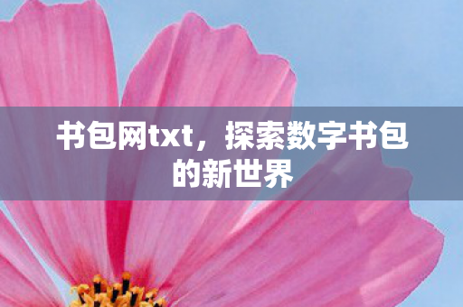 探索数字书包的新世界图片