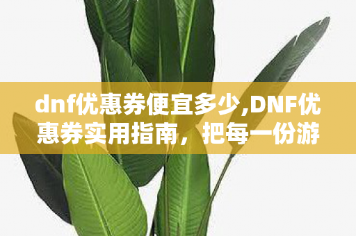 dnf优惠券便宜多少,DNF优惠券实用指南,把每一份游戏福利都用在刀刃上 dnf优惠券便宜多少,DNF优惠券实用指南,把每一份游戏福利都用在刀刃上
