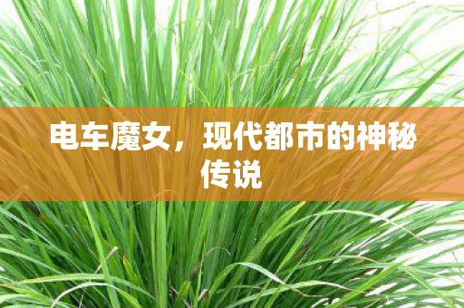 现代都市的神秘传说图片