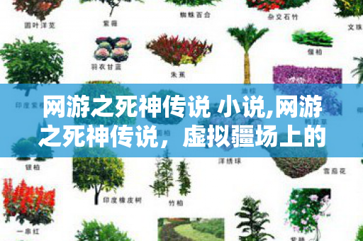 网游之死神传说 小说,网游之死神传说,虚拟疆场上的热血与羁绊 网游之死神传说 小说,网游之死神传说,虚拟疆场上的热血与羁绊
