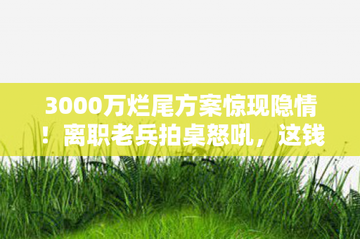 3000万烂尾方案惊现隐情!离职老兵拍桌怒吼,这钱烧得我吓一跳! 3000万烂尾方案惊现隐情!离职老兵拍桌怒吼,这钱烧得我吓一跳!