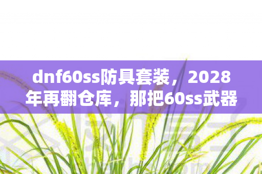 dnf60ss防具套装,2028年再翻仓库,那把60ss武器伏笔成殇,鼻子一酸想起你 dnf60ss防具套装,2028年再翻仓库,那把60ss武器伏笔成殇,鼻子一酸想起你