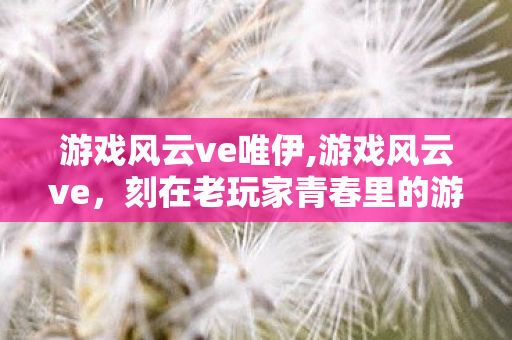 游戏风云ve唯伊,游戏风云ve,刻在老玩家青春里的游戏文化印记 游戏风云ve唯伊,游戏风云ve,刻在老玩家青春里的游戏文化印记