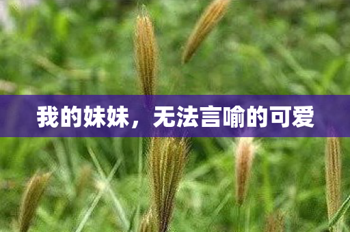 无法言喻的可爱图片