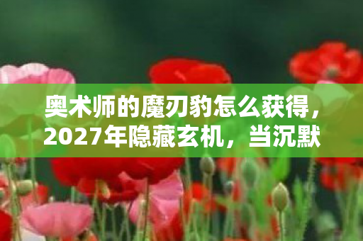奥术师的魔刃豹怎么获得，2027年隐藏玄机，当沉默成为钥匙，奥术师的魔刃豹究竟藏着什么？