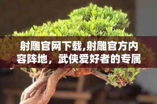 射雕官网下载,射雕官方内容阵地,武侠爱好者的专属线上江湖聚落 射雕官网下载,射雕官方内容阵地,武侠爱好者的专属线上江湖聚落