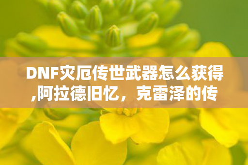 DNF灾厄传世武器怎么获得,阿拉德旧忆,克雷泽的传世宝箱里藏着的那些夏日碎片 DNF灾厄传世武器怎么获得,阿拉德旧忆,克雷泽的传世宝箱里藏着的那些夏日碎片