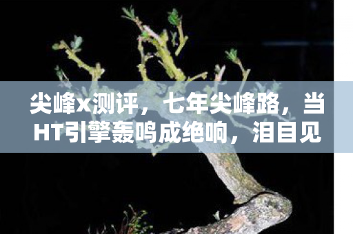 尖峰x测评,七年尖峰路,当HT引擎轰鸣成绝响,泪目见证服务器熄灯时刻 尖峰x测评,七年尖峰路,当HT引擎轰鸣成绝响,泪目见证服务器熄灯时刻