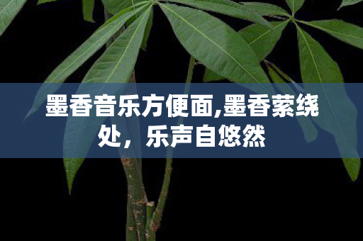 墨香音乐方便面,墨香萦绕处,乐声自悠然 墨香音乐方便面,墨香萦绕处,乐声自悠然