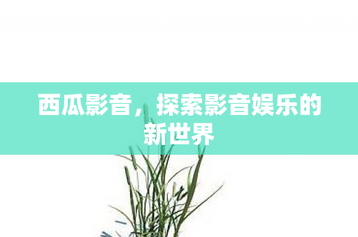 探索影音娱乐的新世界图片