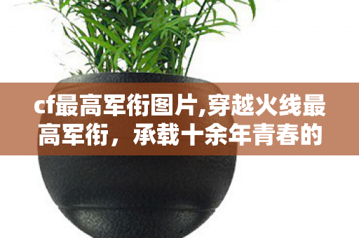 cf最高军衔图片,穿越火线最高军衔,承载十余年青春的荣誉巅峰印记 cf最高军衔图片,穿越火线最高军衔,承载十余年青春的荣誉巅峰印记