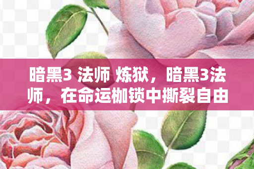 暗黑3 法师 炼狱，暗黑3法师，在命运枷锁中撕裂自由，灵魂震颤的层级悖论