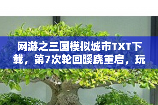 网游之三国模拟城市TXT下载，第7次轮回蹊跷重启，玩家后背发凉，这三国城池藏着致命真相