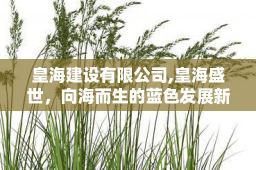 皇海建设有限公司,皇海盛世，向海而生的蓝色发展新图景