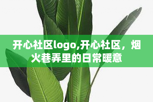 开心社区logo,开心社区,烟火巷弄里的日常暖意 开心社区logo,开心社区,烟火巷弄里的日常暖意