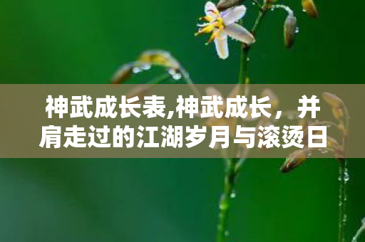 神武成长表,神武成长,并肩走过的江湖岁月与滚烫日常 神武成长表,神武成长,并肩走过的江湖岁月与滚烫日常