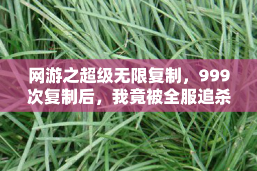 网游之超级无限复制，999次复制后，我竟被全服追杀？这术法背后藏着惊天秘密！