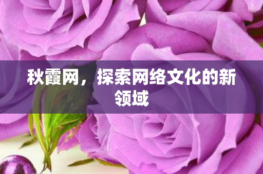 探索网络文化的新领域图片