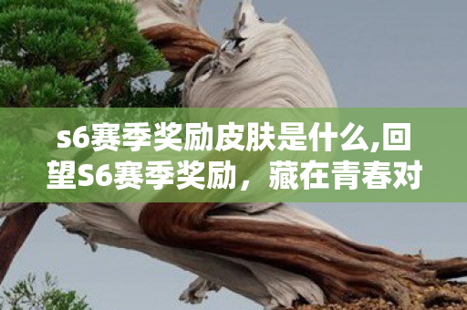 s6赛季奖励皮肤是什么,回望S6赛季奖励,藏在青春对局里的专属仪式感 s6赛季奖励皮肤是什么,回望S6赛季奖励,藏在青春对局里的专属仪式感