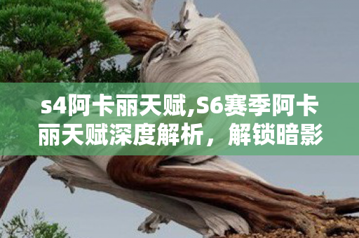 s4阿卡丽天赋,S6赛季阿卡丽天赋深度解析，解锁暗影刺客的最强收割姿态