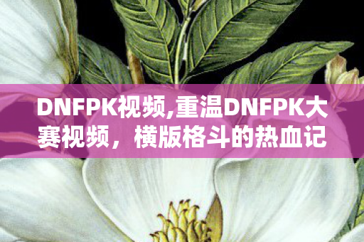 DNFPK视频,重温DNFPK大赛视频，横版格斗的热血记忆从未褪色