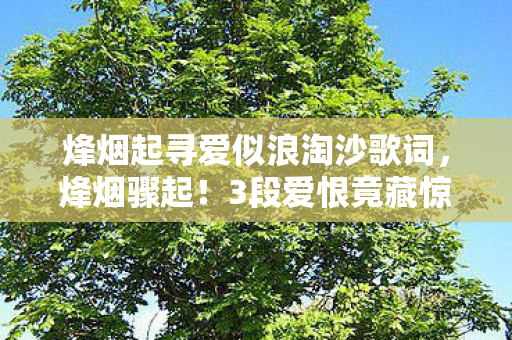 烽烟起寻爱似浪淘沙歌词,烽烟骤起!3段爱恨竟藏惊天反转,谁能笑到最后? 烽烟起寻爱似浪淘沙歌词,烽烟骤起!3段爱恨竟藏惊天反转,谁能笑到最后?